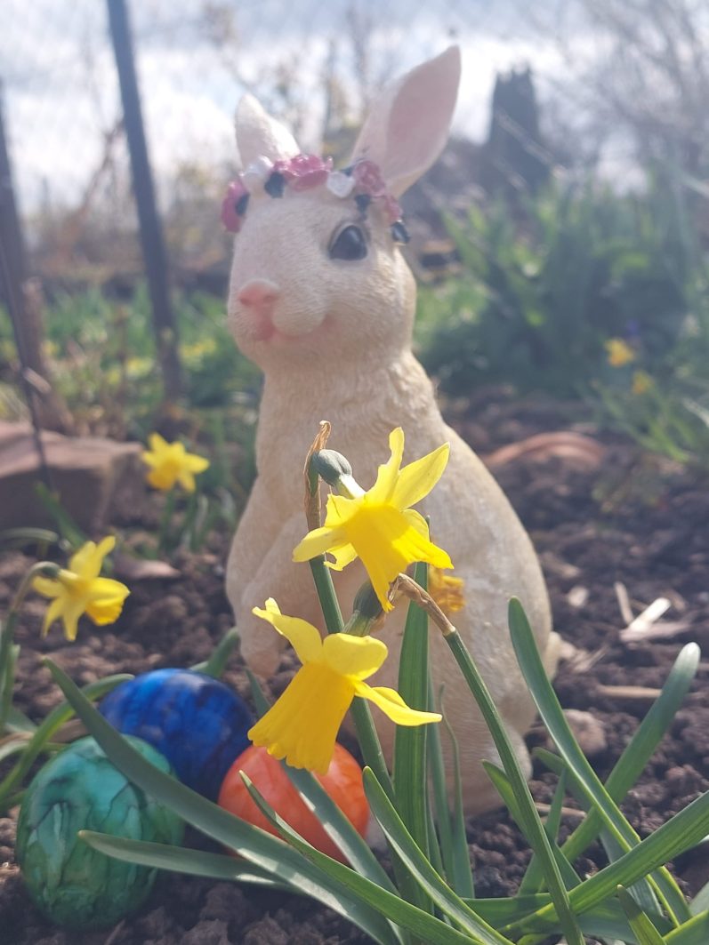 Der Vorstand wünscht Euch ein frohes Osterfest